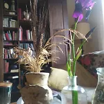Bed & Breakfast Chorisia Messina