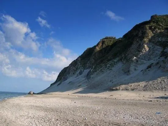 Chorisia * مسينا