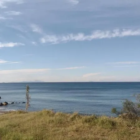 ベッド・アンド・ブレックファスト Chorisia *