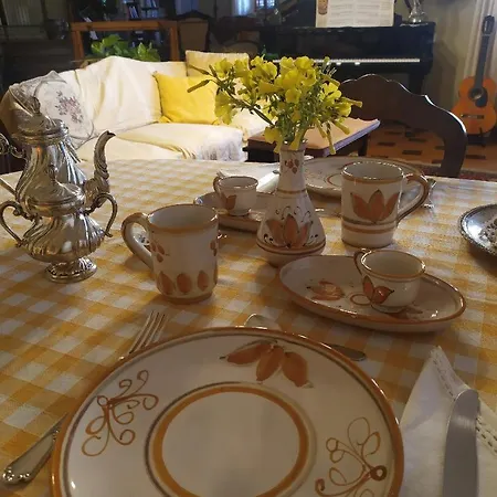 Chorisia Couette-café *