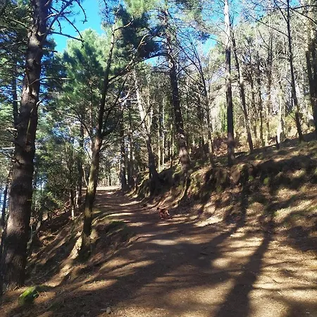 Chorisia Bed & Breakfast Messina