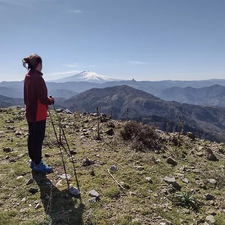 Bed & Breakfast Chorisia Messina