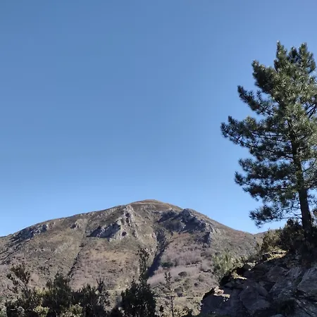 Chorisia Bed & Breakfast Messina