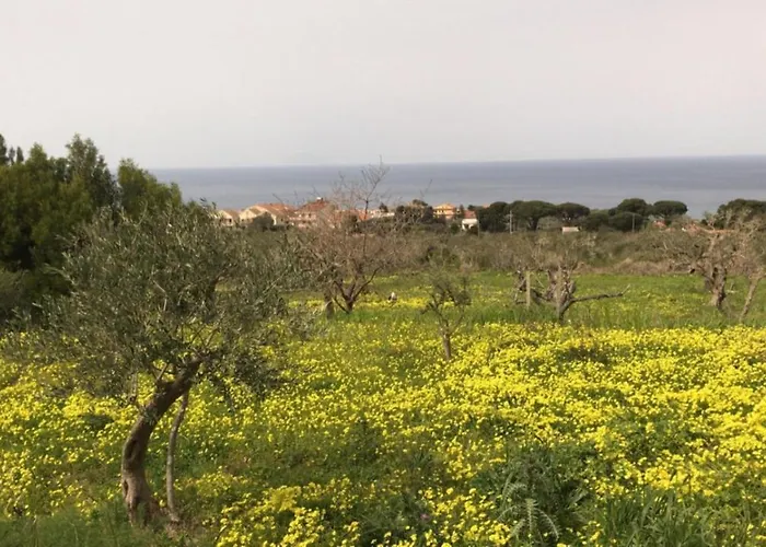 Bed & Breakfast Chorisia *