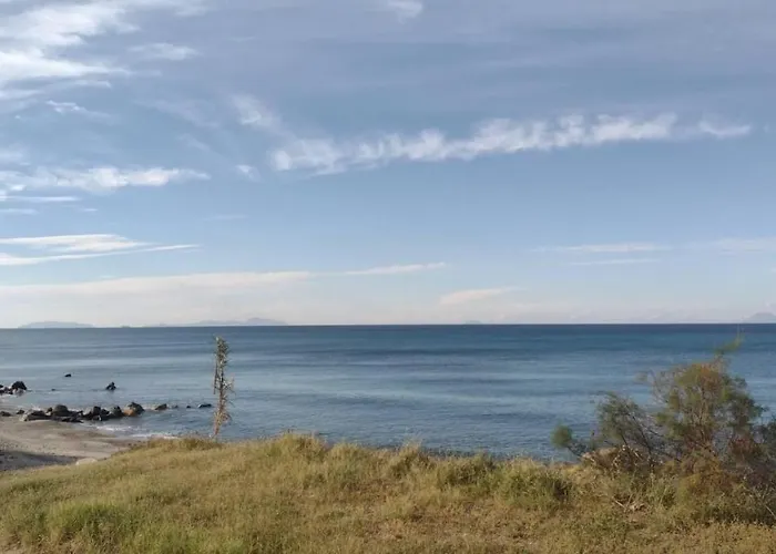 Bed & Breakfast Chorisia *