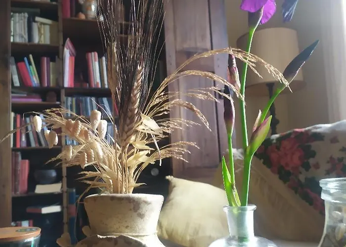 Bed & Breakfast Chorisia Messina