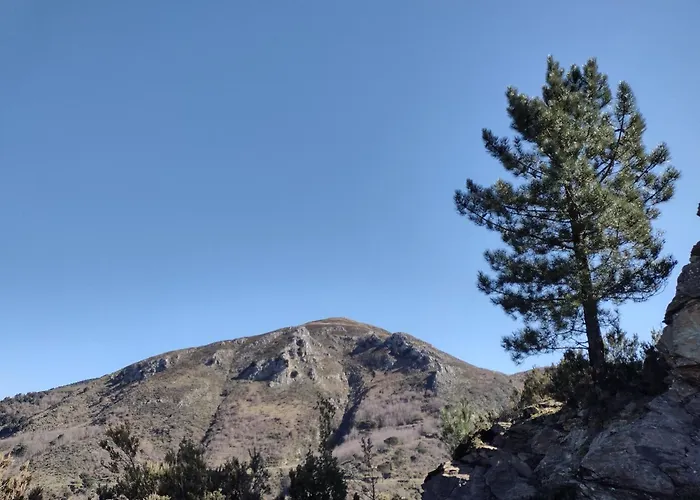 Chorisia Bed & Breakfast Messina